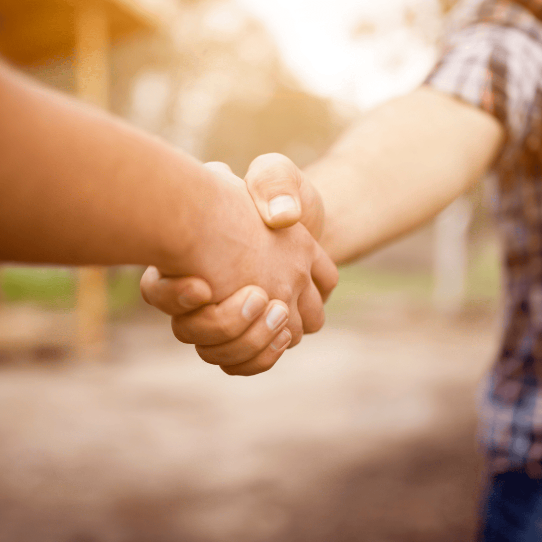 VSL OPTIMIERUNGEN (58).png