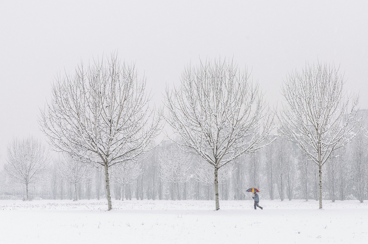 Winter Arc: Nutze die kalte Jahreszeit, um richtig durchzustarten!