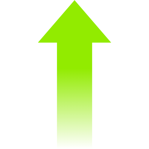 List Item Icon