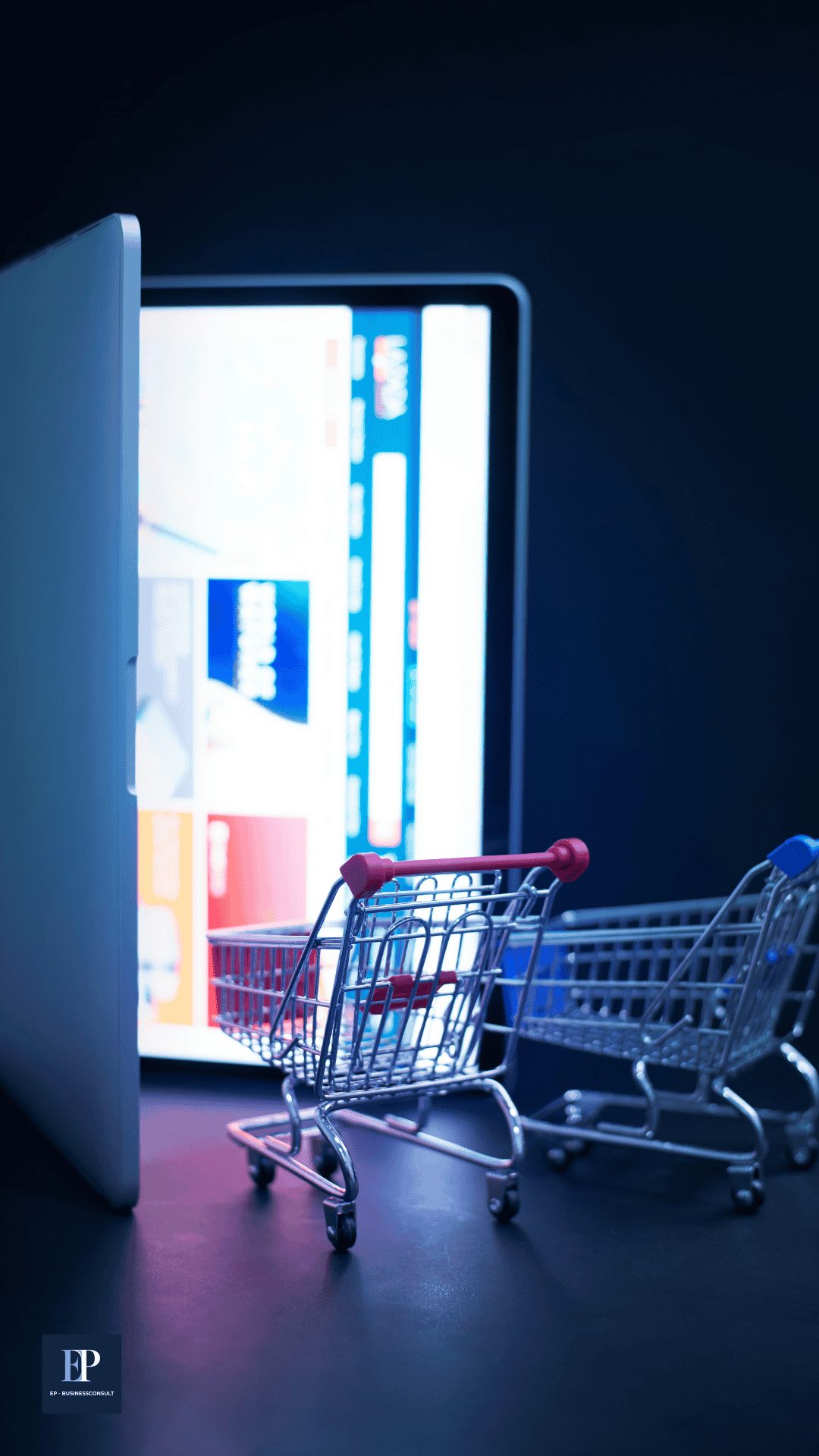 Shopify Erfahrungen.png