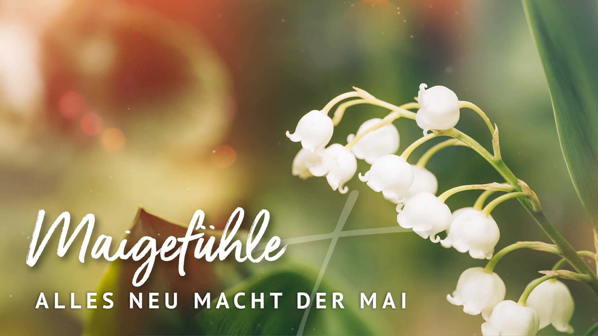 2025-05: MAIGEFÜHLE – Alles neu macht der Mai