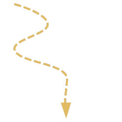 681cb6688d6a5_DesignohneTitel.png