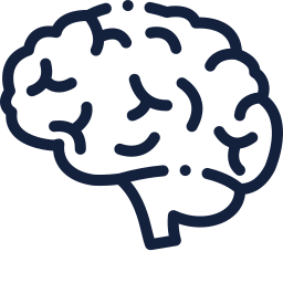 brain2.png