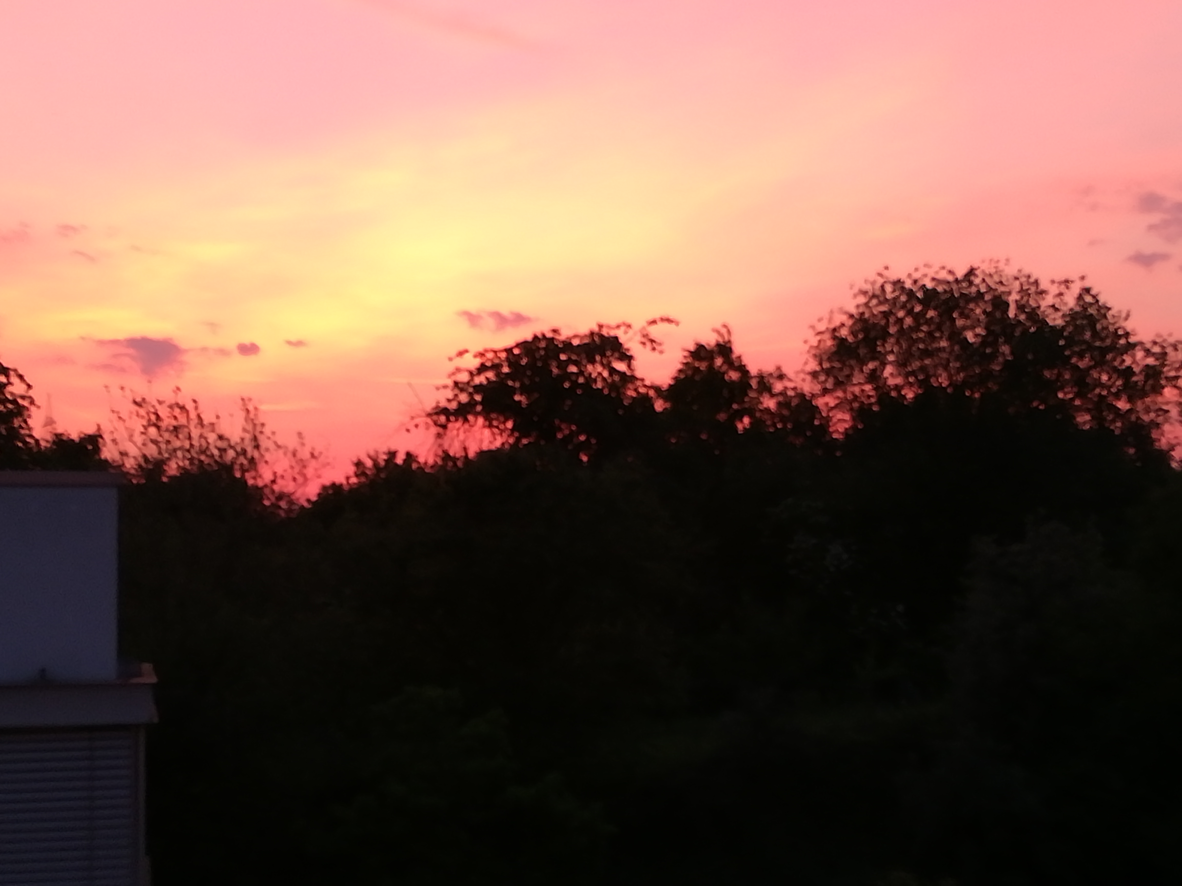 IMG_20210615_220158.jpg