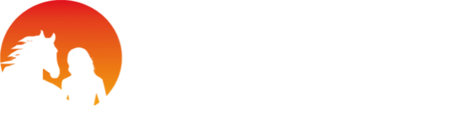 logo steinhauser Akademie weiß hintergrund weiss.png