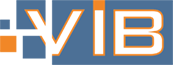 vib-promotion-logo.png