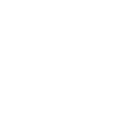 Logo AWO - Social Lions Marketing