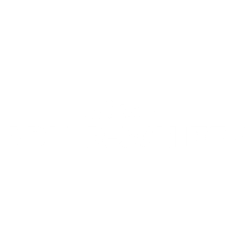 Logo Adler-Schiffe - Social Lions Marketing