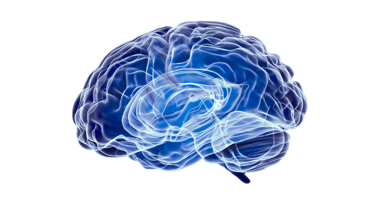 NEURO VITALITY 2.png