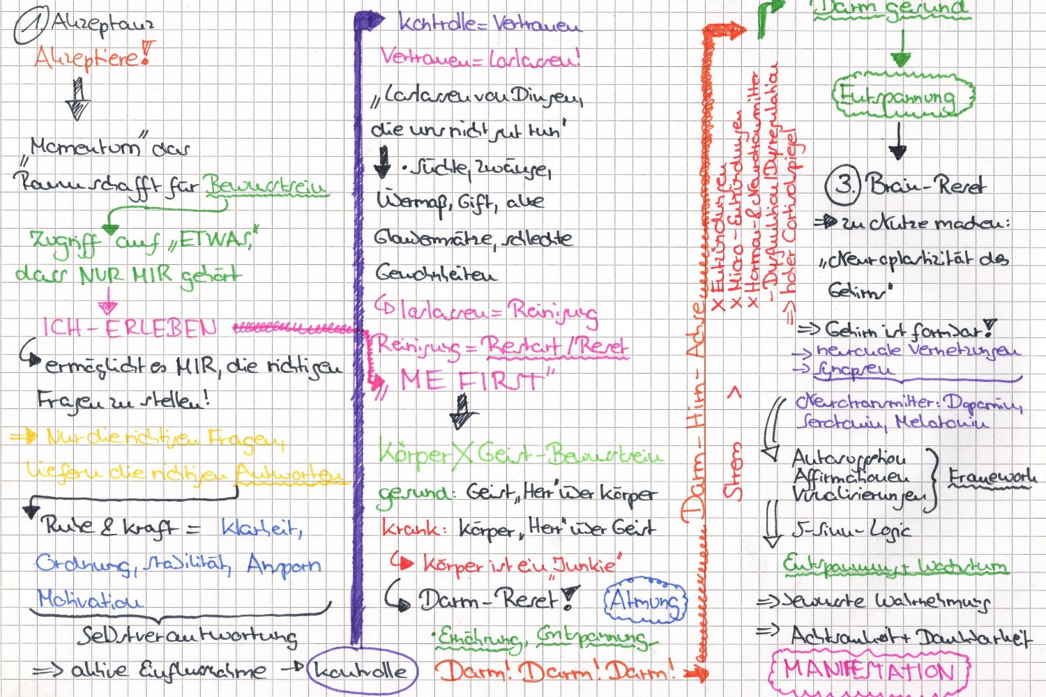 Mindmap_3-Schritte-Protokoll.jpg