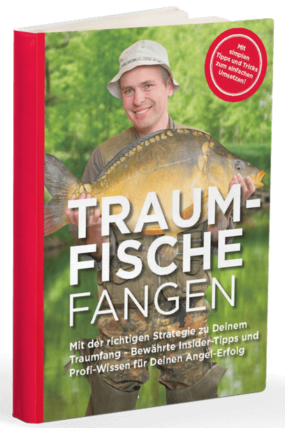 cover-transparent-klein.png