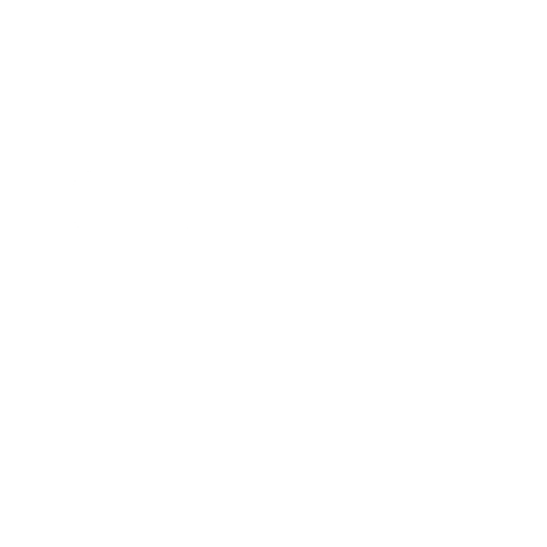 Timo Bachmann Website Logo.png