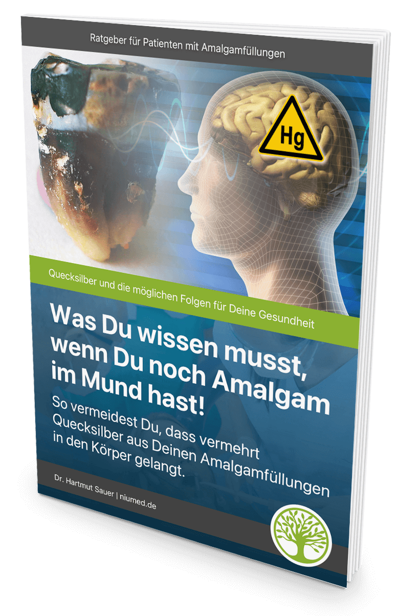 Ratgeber Amalgam im Mund