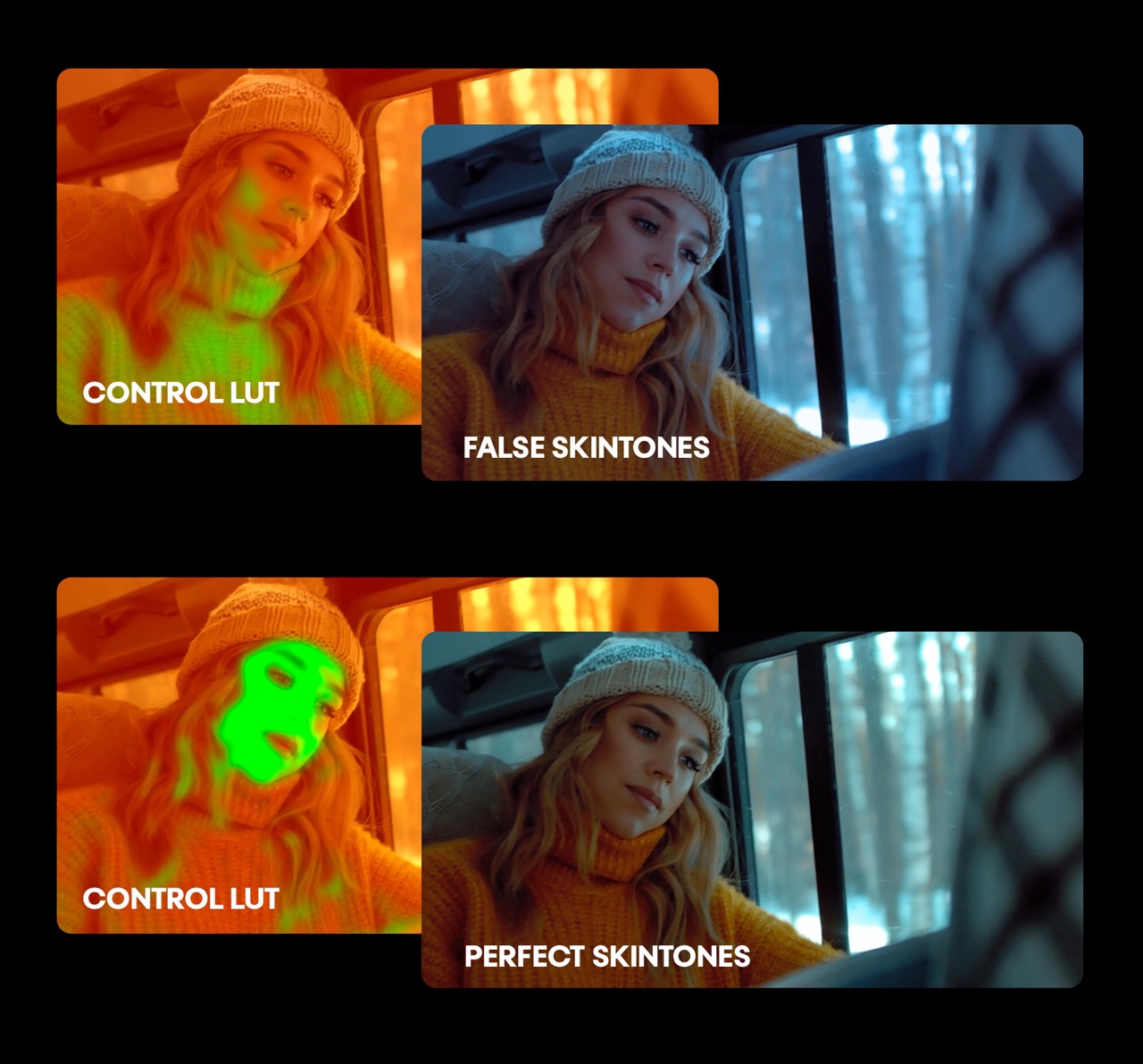 Control LUT for Skintones & Color Correction