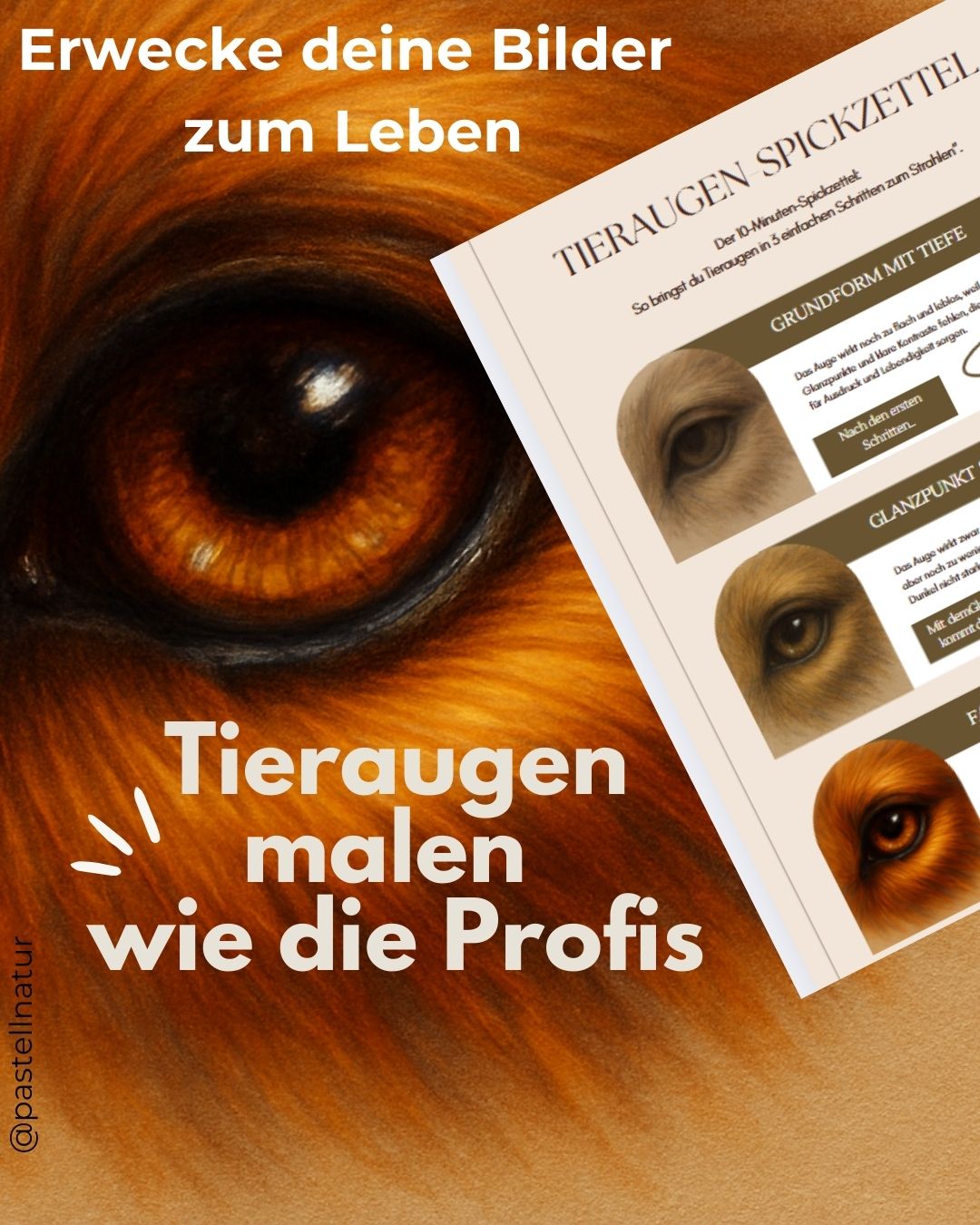 _Tieraugen-Spickzettel-LP.jpg