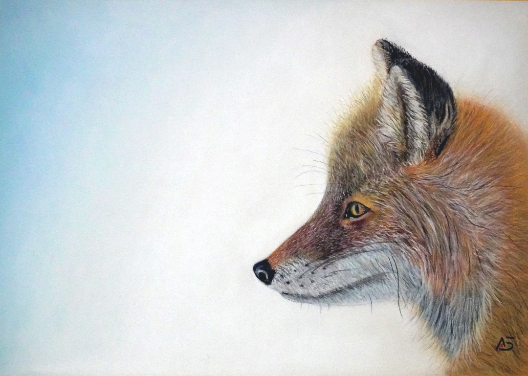 Fuchs1-web.jpg