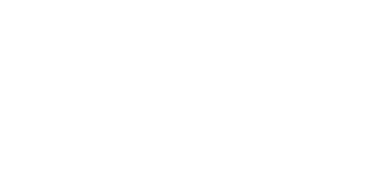 Bora 