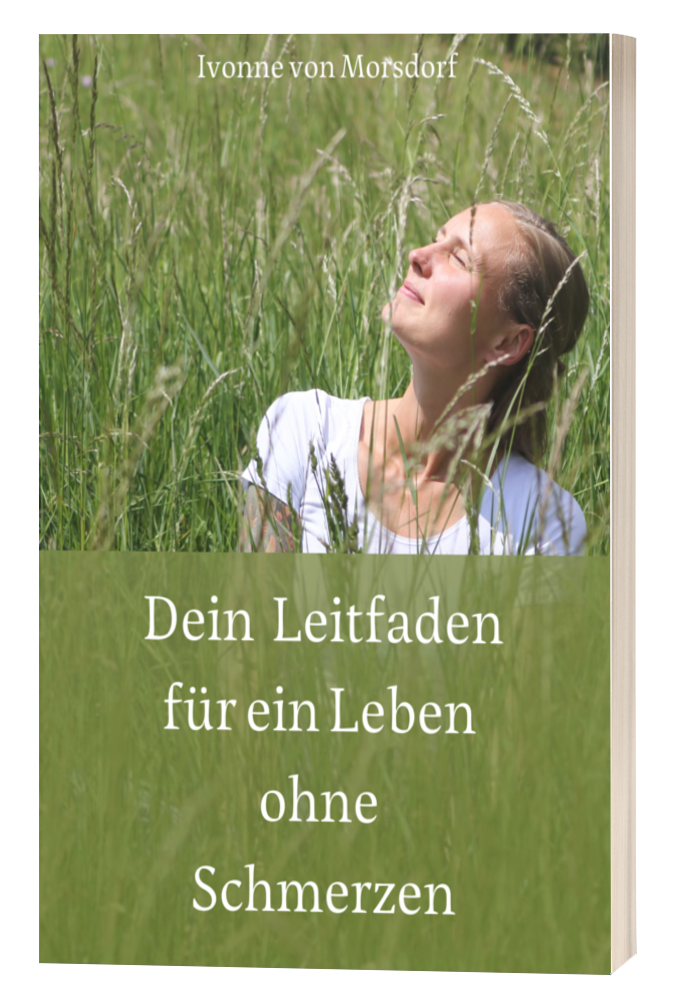 Zeichenfläche – 11.png