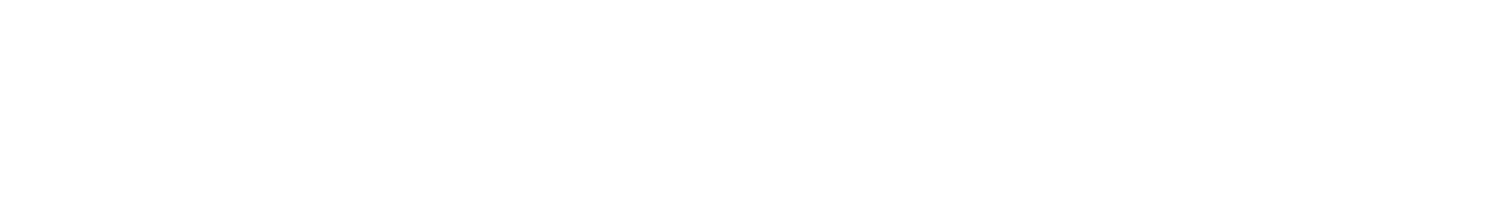 Simpel Sichtbar Logo.png