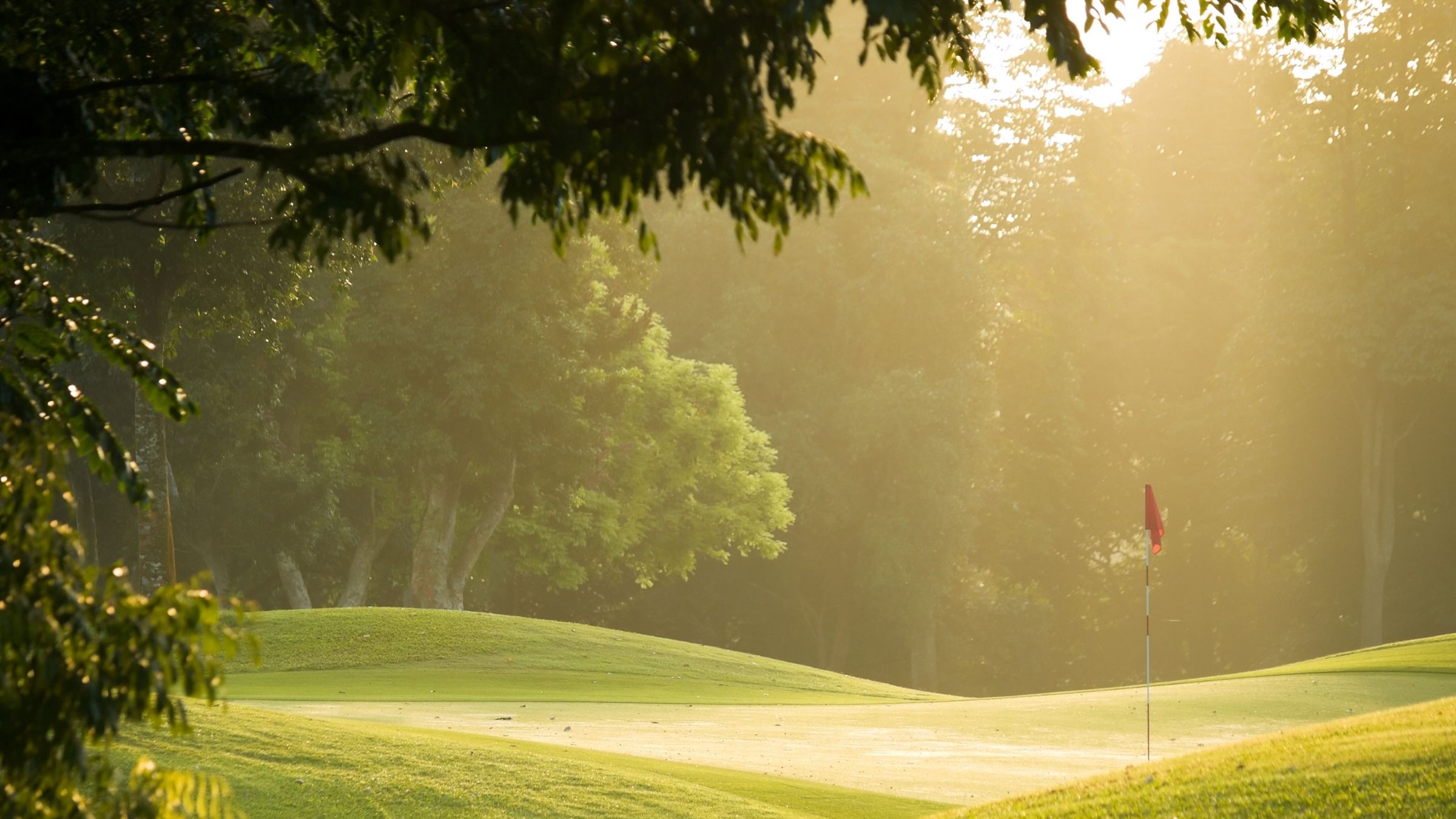 Design ohne Titel - 2025-12-31T144816.792.jpg