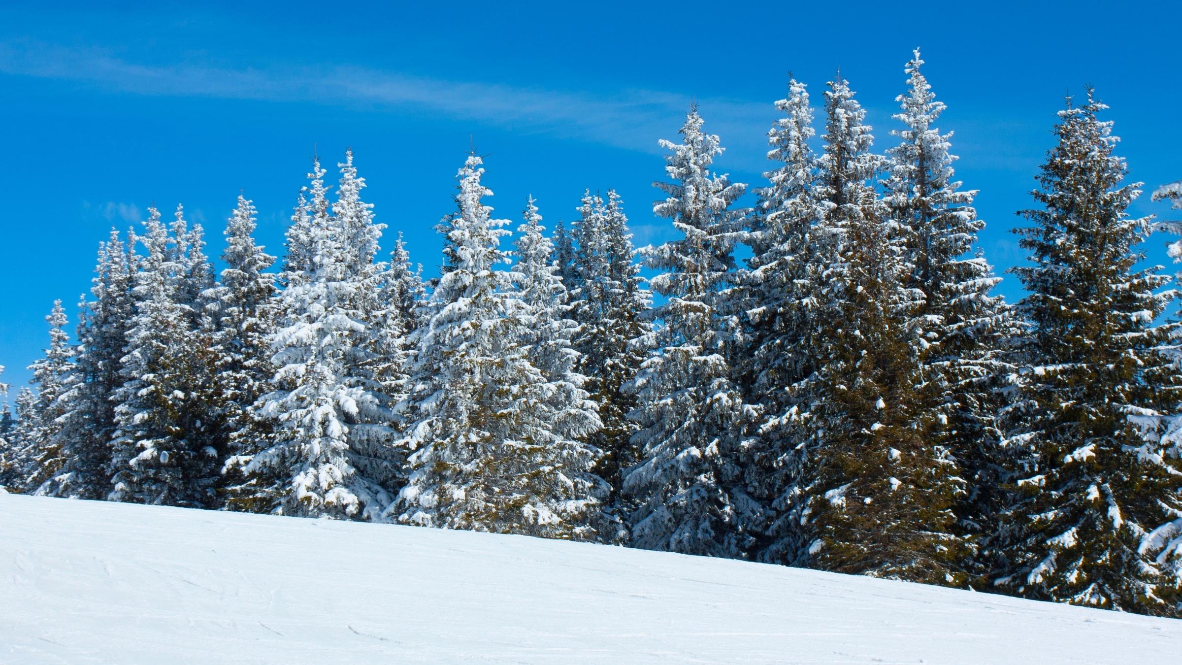 Design ohne Titel - 2025-12-07T224815.118.jpg