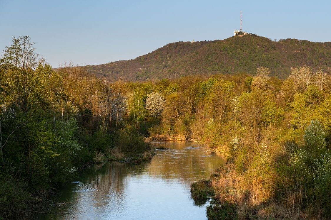 Design ohne Titel - 2025-10-18T100108.029.jpg