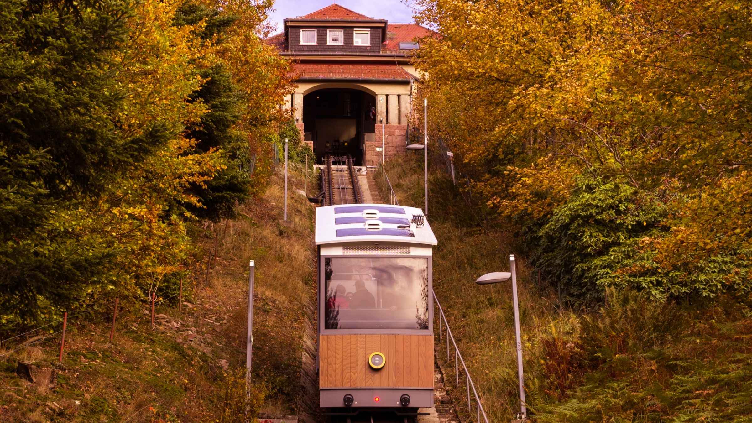 Design ohne Titel - 2025-12-31T150953.038.jpg