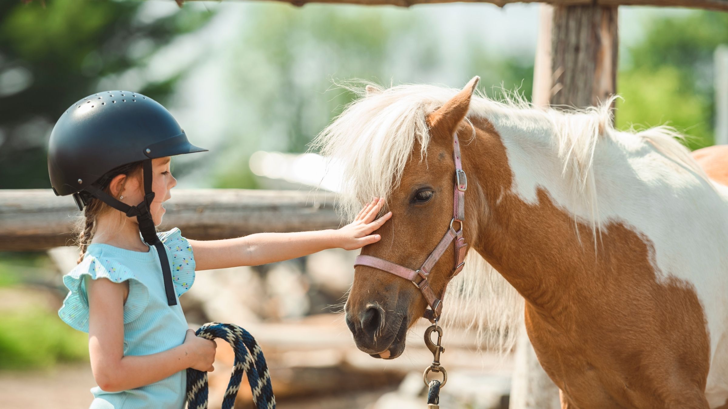 Design ohne Titel - 2025-12-07T225124.560.jpg