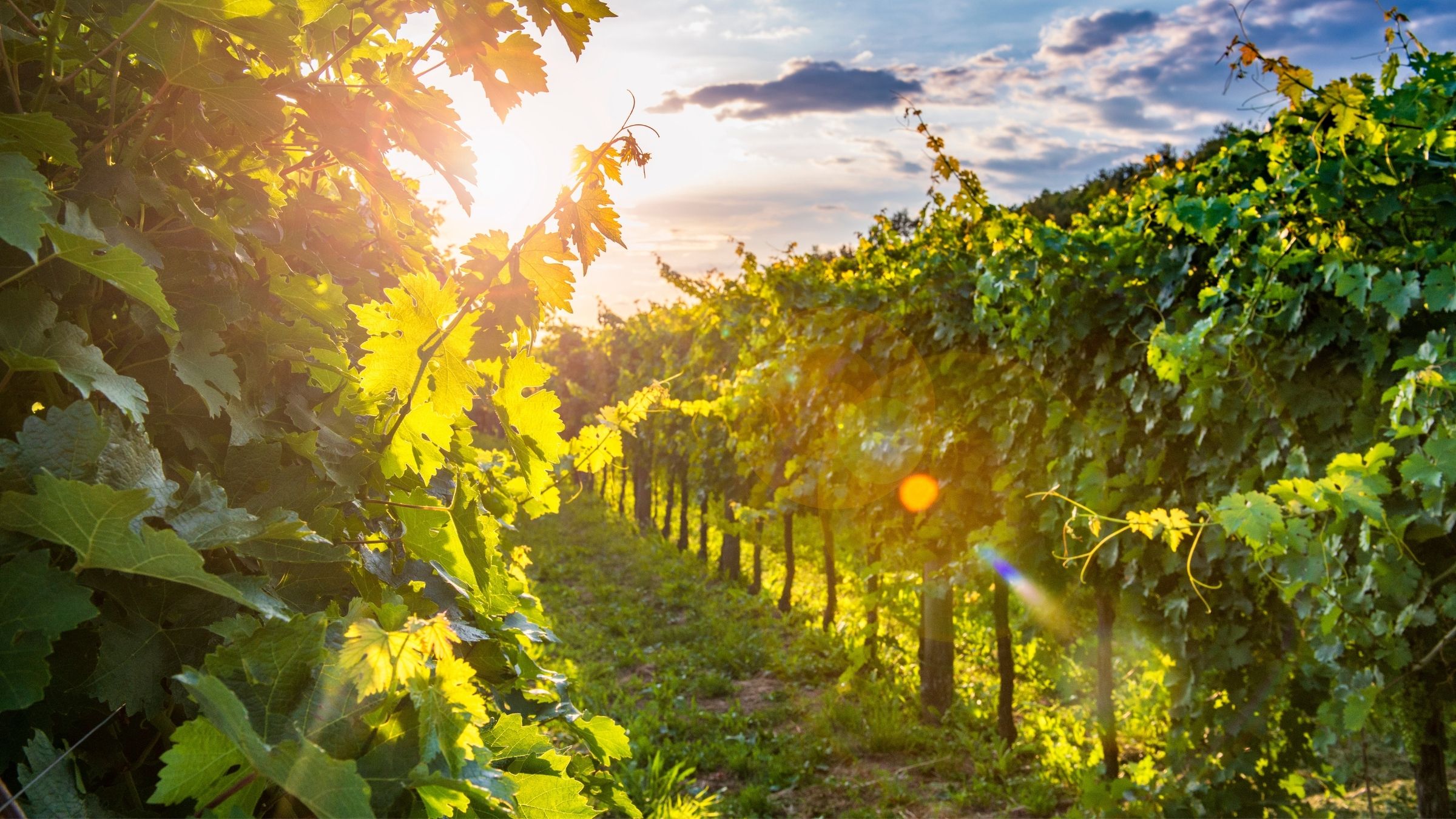 Design ohne Titel - 2025-12-07T223607.399.jpg