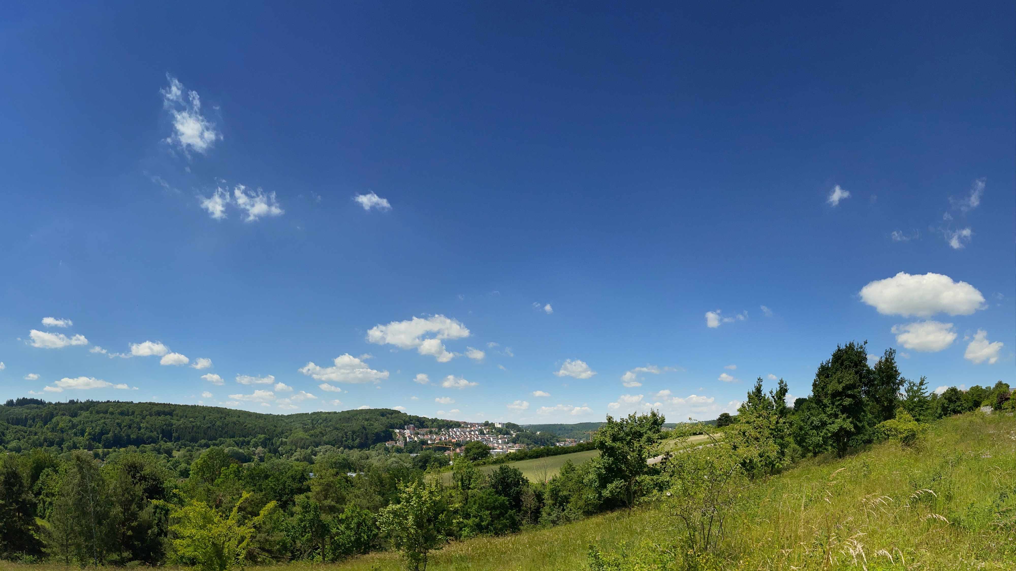 Design ohne Titel (76).jpg