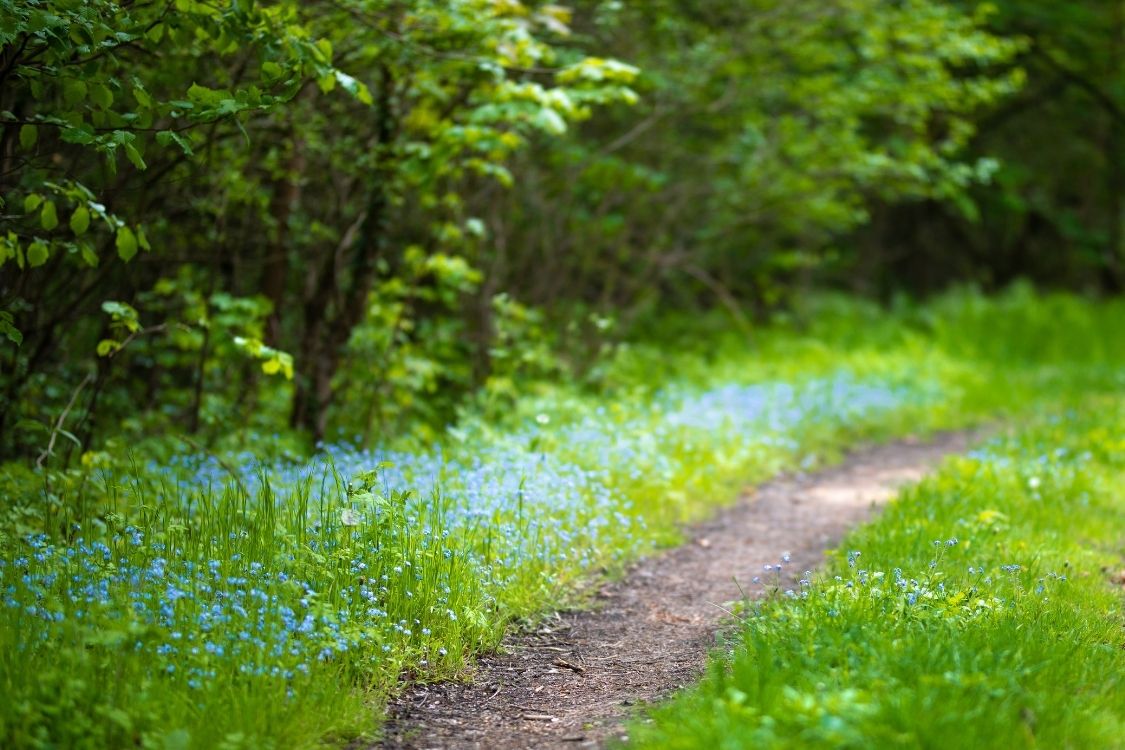 Design ohne Titel - 2025-10-18T095600.419.jpg