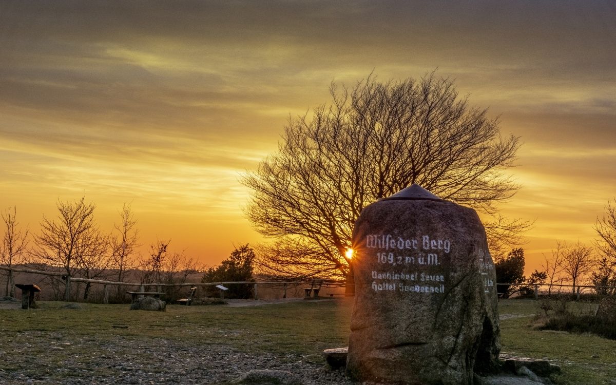 Design ohne Titel (68).jpg