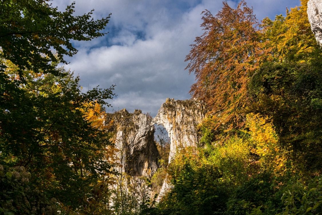 Design ohne Titel (43).jpg