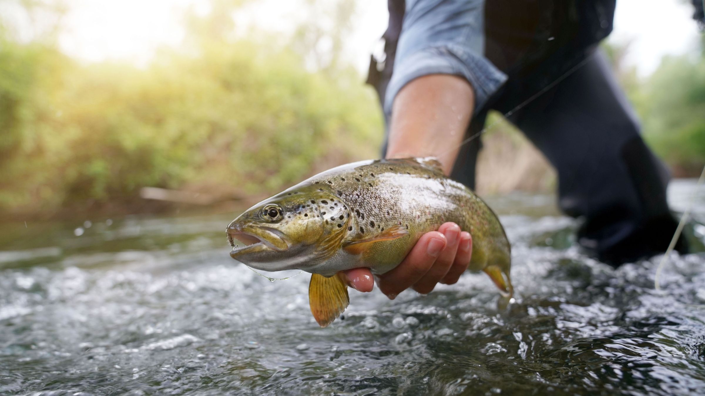 Design ohne Titel - 2025-12-15T204955.778.jpg