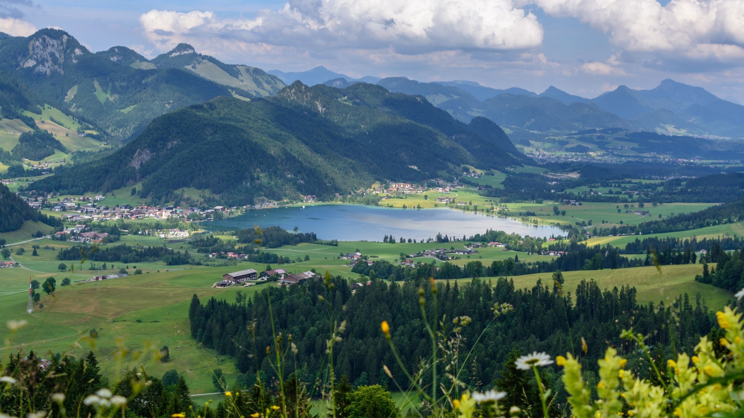 Design ohne Titel - 2025-12-07T221911.380.jpg