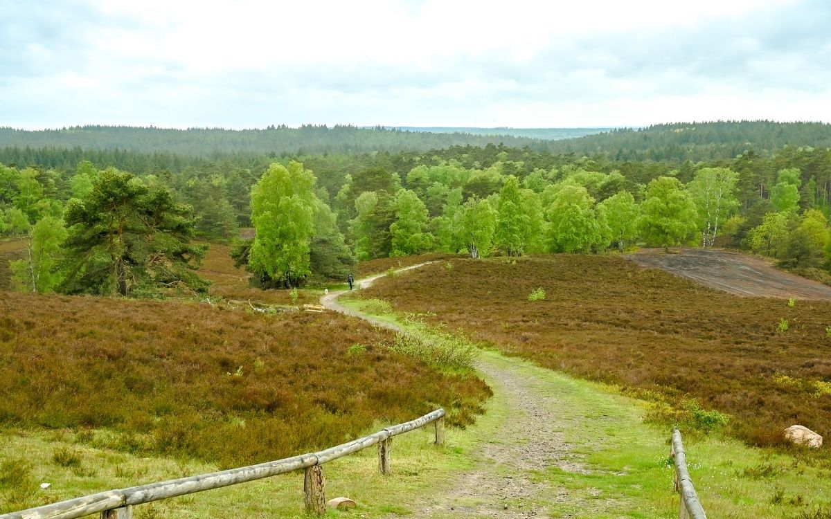 Design ohne Titel (71).jpg