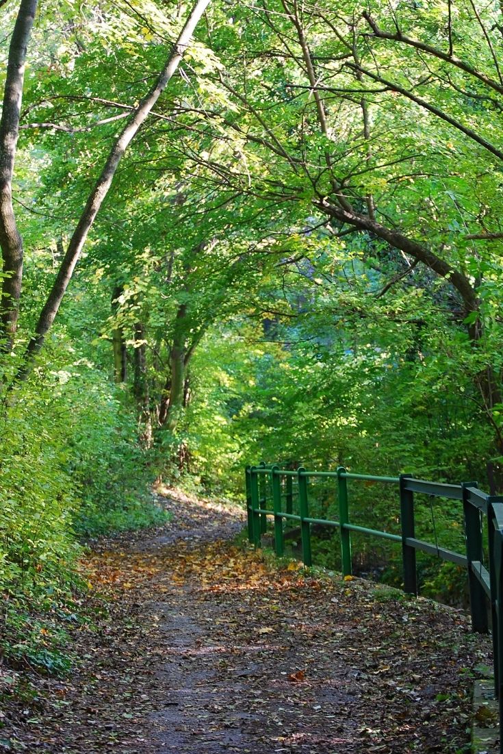 Design ohne Titel (64).jpg