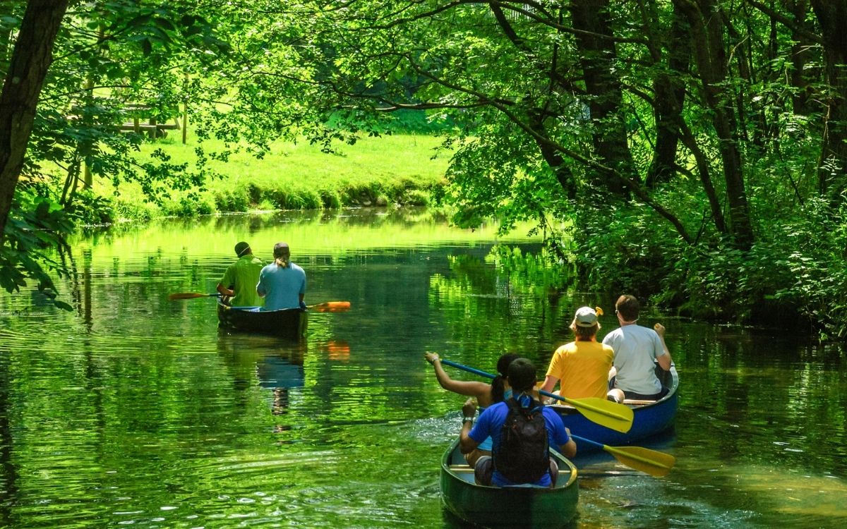 Design ohne Titel (73).jpg