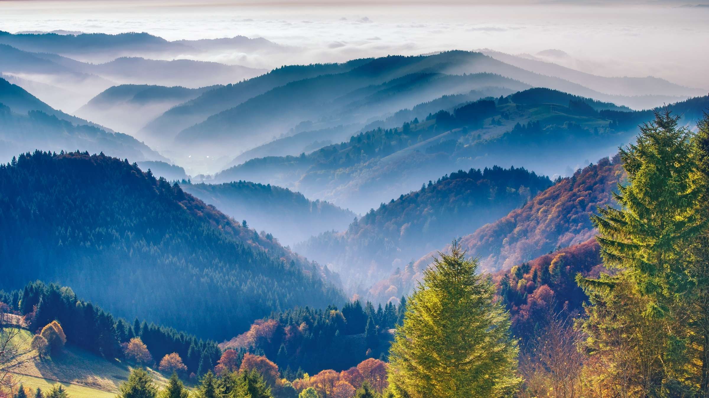 Design ohne Titel - 2025-12-31T144358.998.jpg