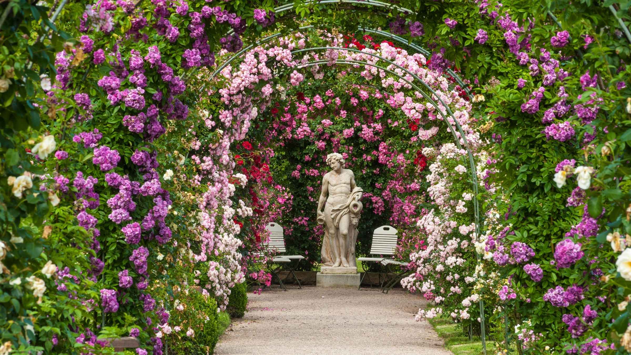 Design ohne Titel - 2025-12-31T143341.084.jpg