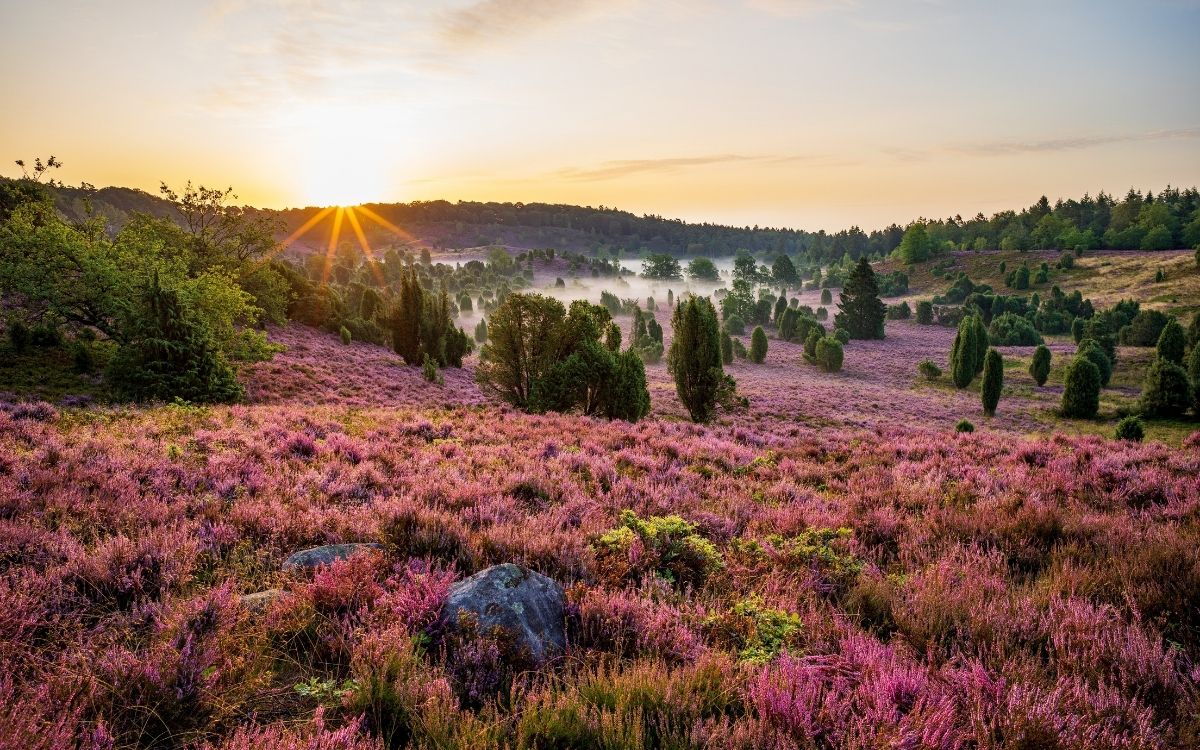 Design ohne Titel (69).jpg