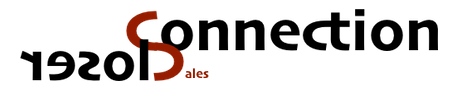 Closer Connection Schriftzug - Logo (PNG).png