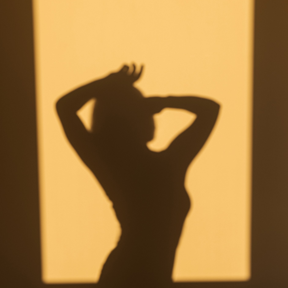 Kopie von model2.png