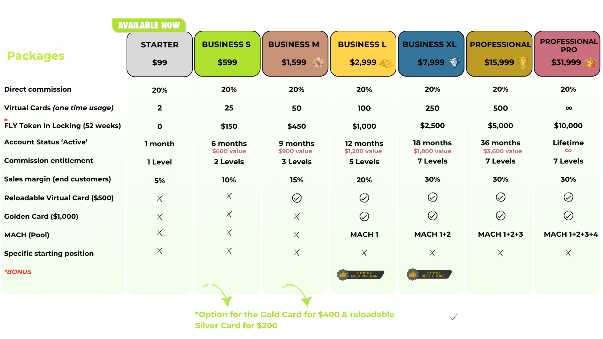 Flyback System & Sales Explanation (1).png