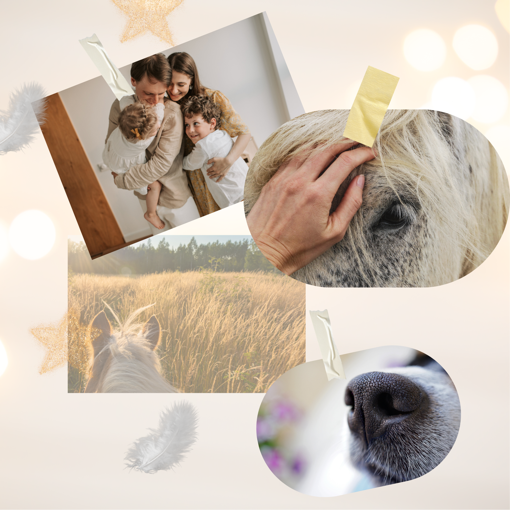 Visio (Einladung (Quadrat)).png