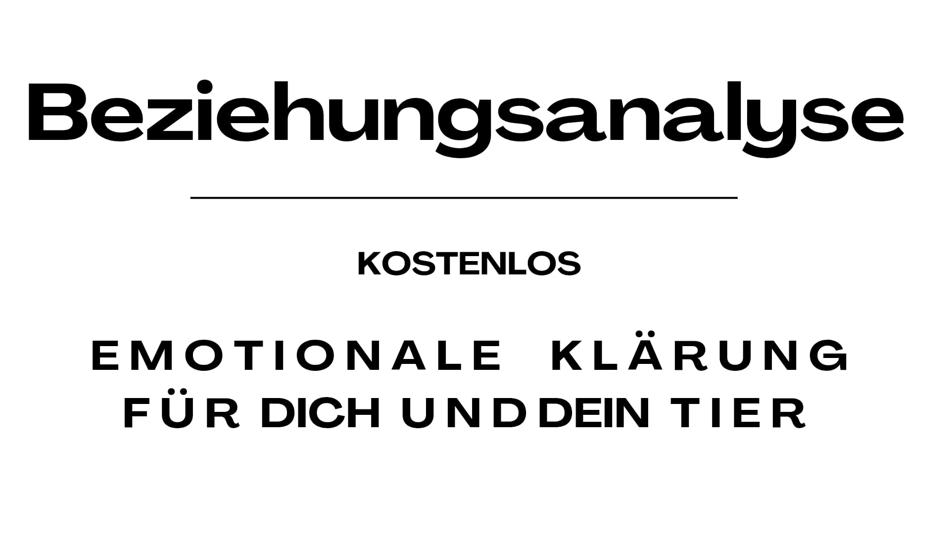 WhatsApp Image 2025-10-31 at 19.41.09.jpeg