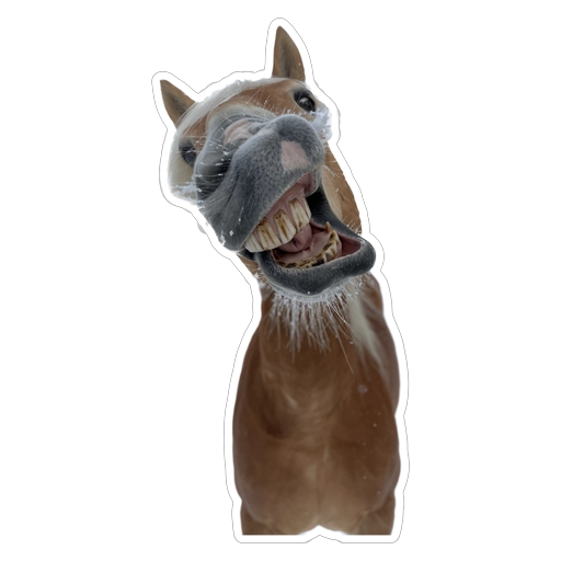 Unbenannt.webp