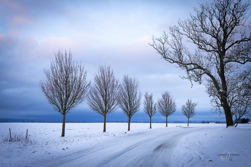 2024_Brandshagen_Schneeallee-1207.jpg