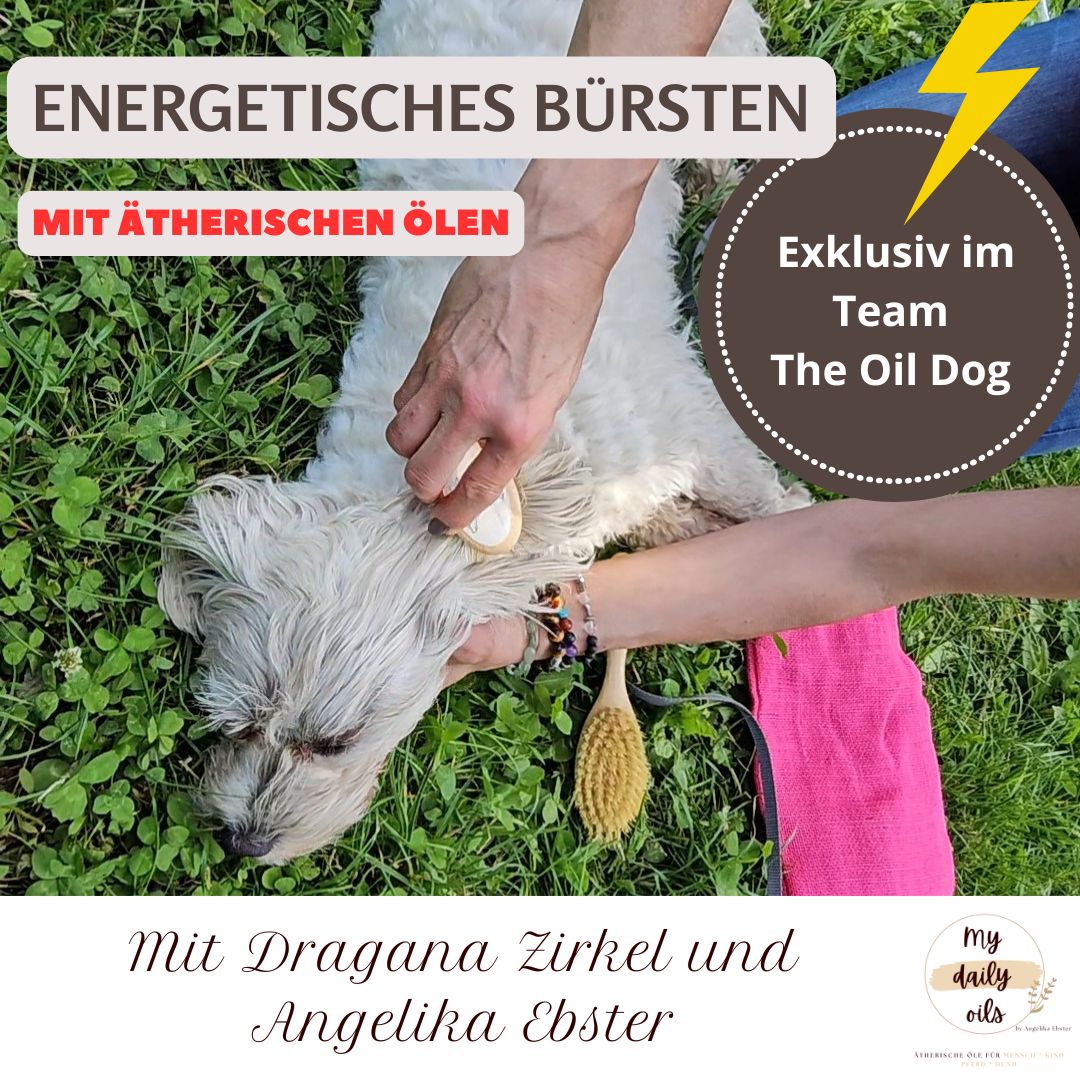 Energetisches Bürsten Bild the Dog Oil.jpg