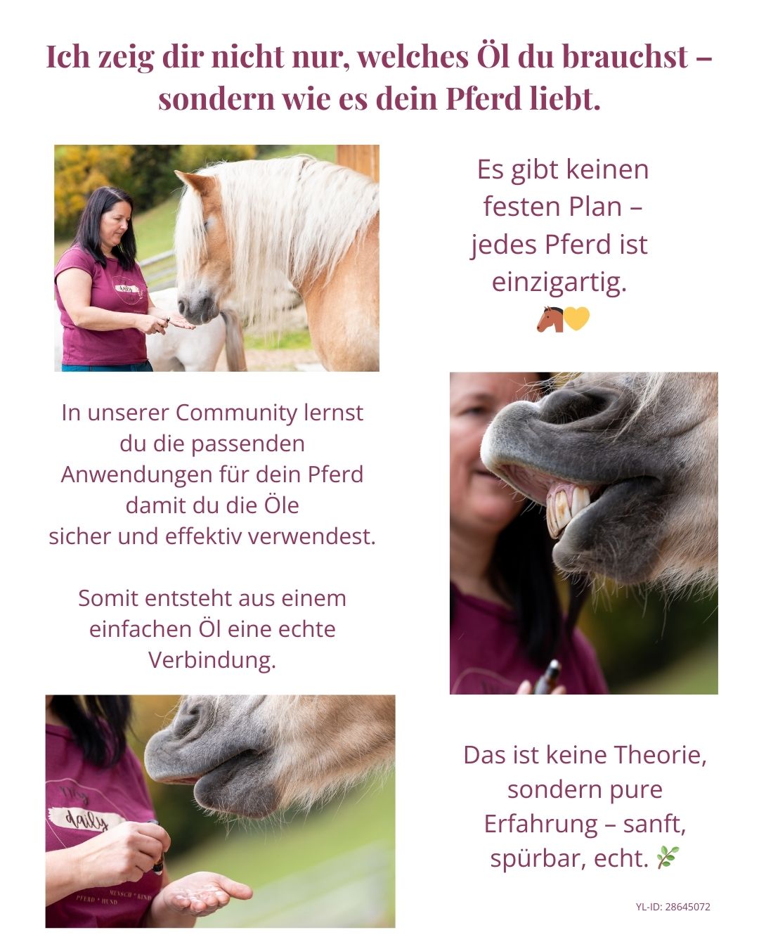 Ich zeig dir nicht nur, welches Öl du brauchst – sondern wie es dein Pferd liebt.jpg